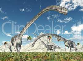 Dinosaurier Omeisaurus