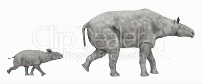 Paraceratherium isoliert auf weißem Hintergrund
