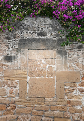 Mauer mit Bougainvillea