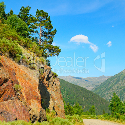 Scenic mountain landscape with cliff and pines