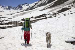 Hiker with dog in snowy mountains at spring