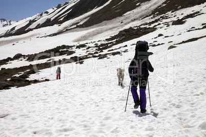 Two hikers and dog in snowy mountains at spring