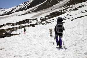 Two hikers and dog in snowy mountains at spring