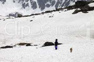 Hiker and dog in snowy mountains at spring