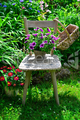 alter Stuhl im Garten mit Blumen
