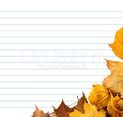 Autumn maple-leafs and notebook paper