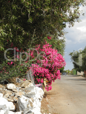 Milatos, Kreta