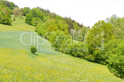 Abwechslungsreiche Landschaft am Staffelberg