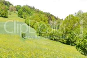 Abwechslungsreiche Landschaft am Staffelberg