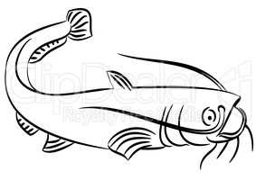 Cat fish illustration