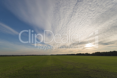 Vast grass land with evening sky and clouds.