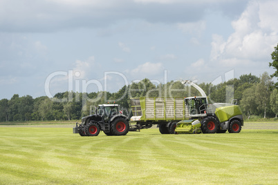 forage harvester and transport of grass with tractor and a loade