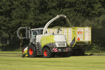 forage harvester and transport of grass with tractor and a loade