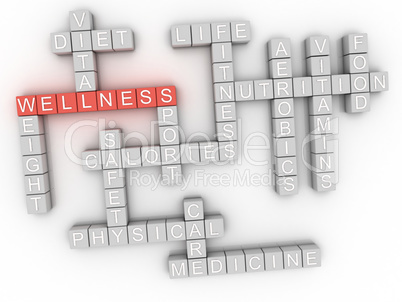 3d image Wellness word cloud concept