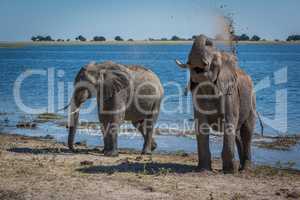 Elephant throwing mud over shoulder beside river