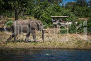 Elephant walking along wooded riverbank alongside jeep