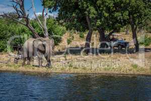 Elephant walking along wooded riverbank near jeep