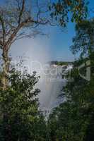Glimpse of Victoria Falls framed by trees