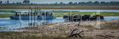 Panorama of elephant herd drinking beside boats