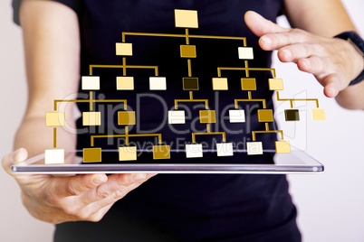 Woman with tablet PC displays hierarchical structure