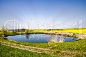 Spring landscape with pond and fields of rape
