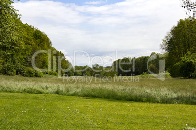 Spring landscape with meadow