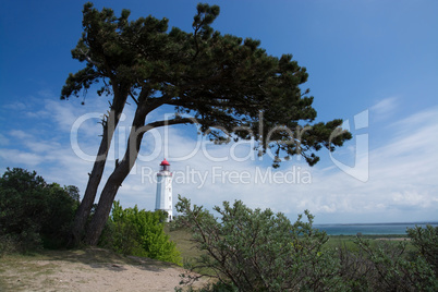 Leuchtturm Dornbusch auf Hiddensee