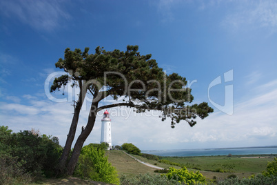 Leuchtturm Dornbusch auf Hiddensee