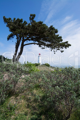 Leuchtturm Dornbusch auf Hiddensee