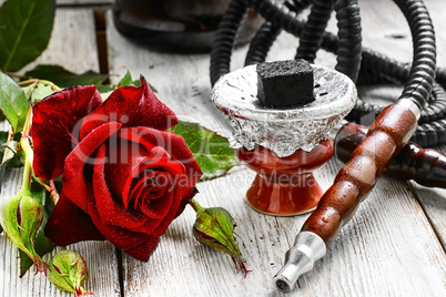 Hookah and red rose