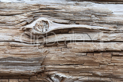 Wooden Background Or Texture With Knothole, Copy Space