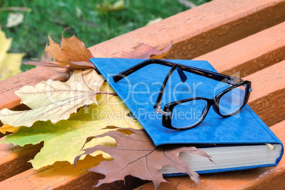 Books, glasses and fallen leaves on a Park bench.