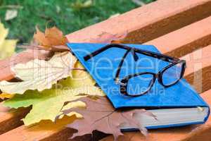 Books, glasses and fallen leaves on a Park bench.