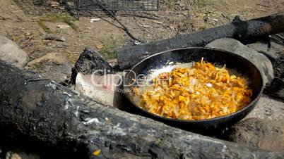 Fry the mushrooms over a campfire