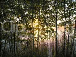 Sunrise on the lake