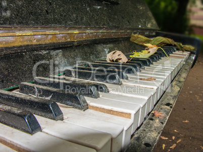 The old piano