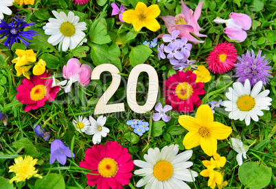 20 Geburtstag Zahl auf Blumen Wiese