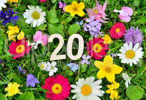 20 Geburtstag Zahl auf Blumen Wiese