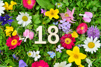 18 Geburtstag Zahl auf Blumen Wiese