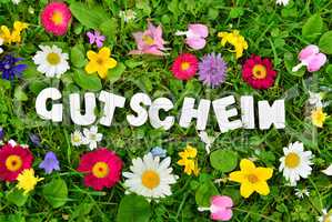 Gutschein Text auf Blumen Wiese