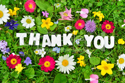 thank you Text auf bunter  Blumen Wiese