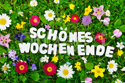 schönes Wochenende Text auf Blumen Wiese