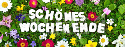 schönes Wochenende Text auf Blumen Wiese