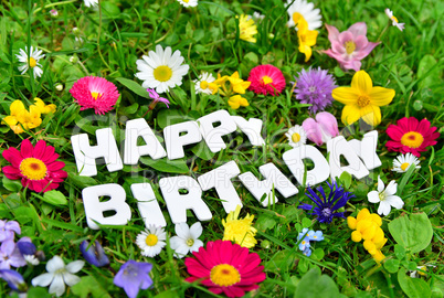 Happy Birthday Text auf bunter Blumen Wiese