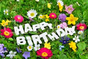 Happy Birthday Text auf bunter Blumen Wiese