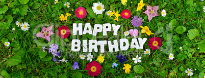 Happy Birthday Text auf bunter Blumen Wiese