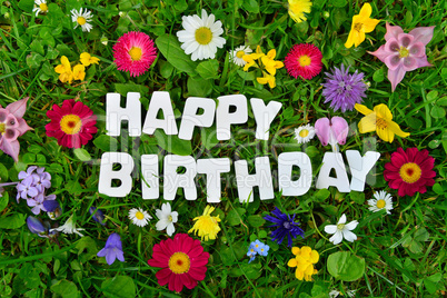 Happy Birthday Text auf bunter Blumen Wiese