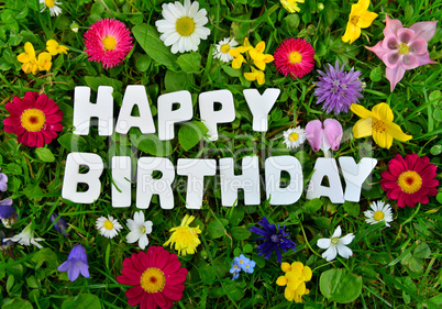 Happy Birthday Text auf bunter Blumen Wiese