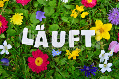 Läuft Text auf Blumen Wiese