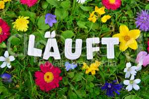 Läuft Text auf Blumen Wiese